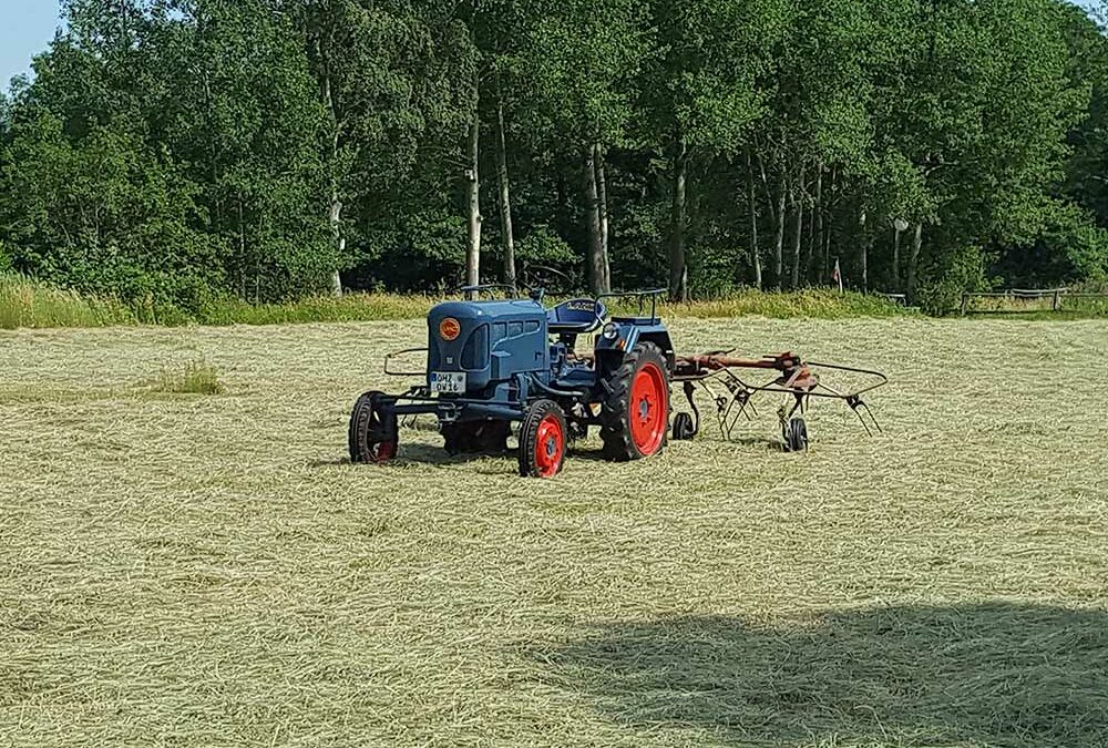 Landwirtschaft