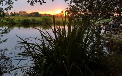 Naturpark Teufelsmoor: Projekt und Ziel für Worpswedes Zukunft!