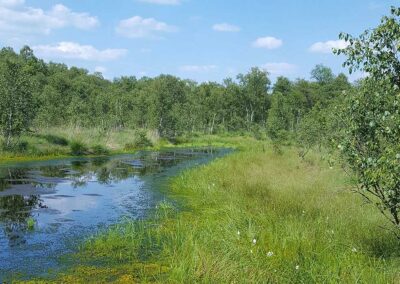 Naturpark Teufelsmoor